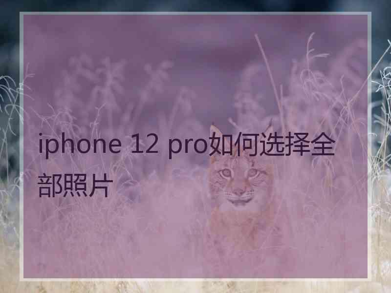 iphone 12 pro如何选择全部照片