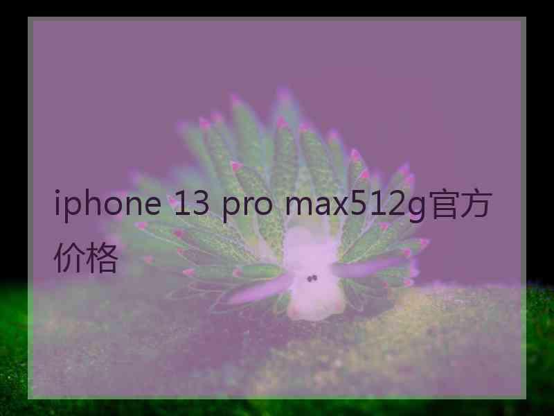 iphone 13 pro max512g官方价格