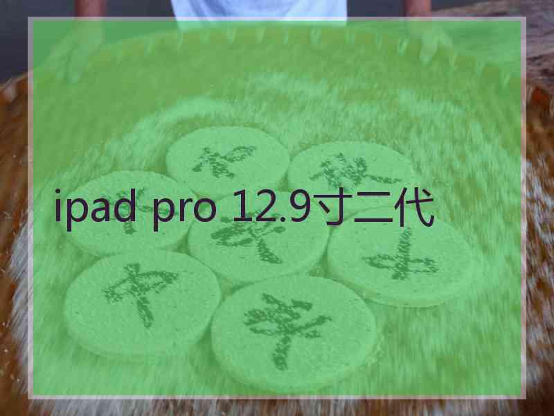 ipad pro 12.9寸二代