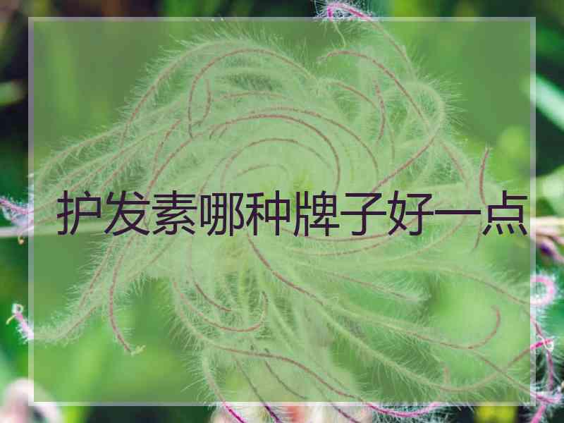 护发素哪种牌子好一点