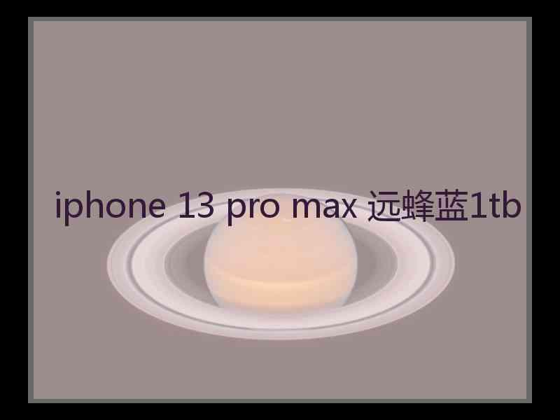 iphone 13 pro max 远蜂蓝1tb