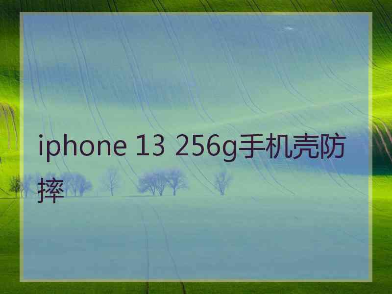 iphone 13 256g手机壳防摔