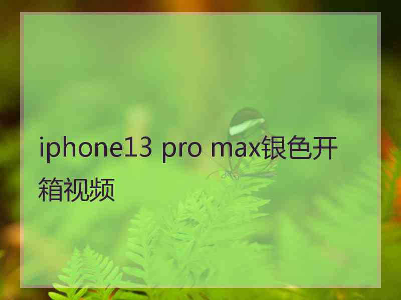 iphone13 pro max银色开箱视频