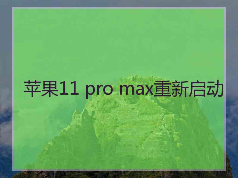 苹果11 pro max重新启动