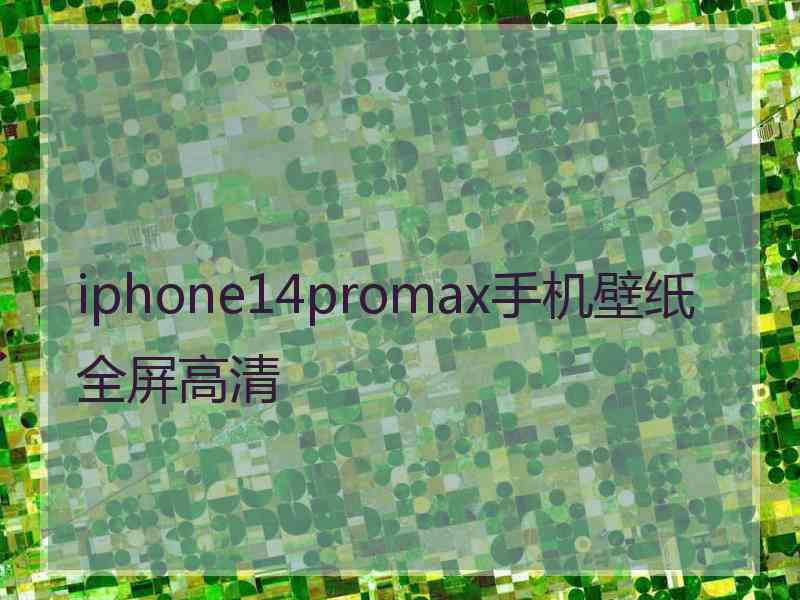 iphone14promax手机壁纸全屏高清