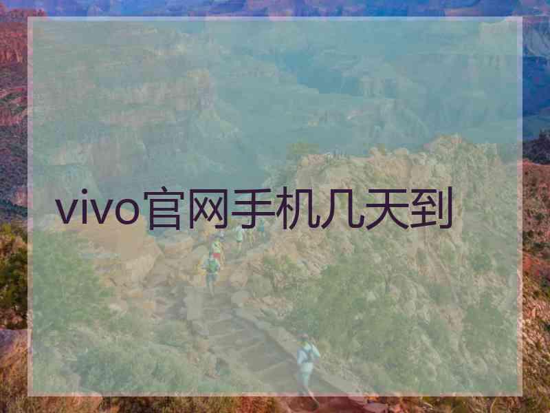 vivo官网手机几天到