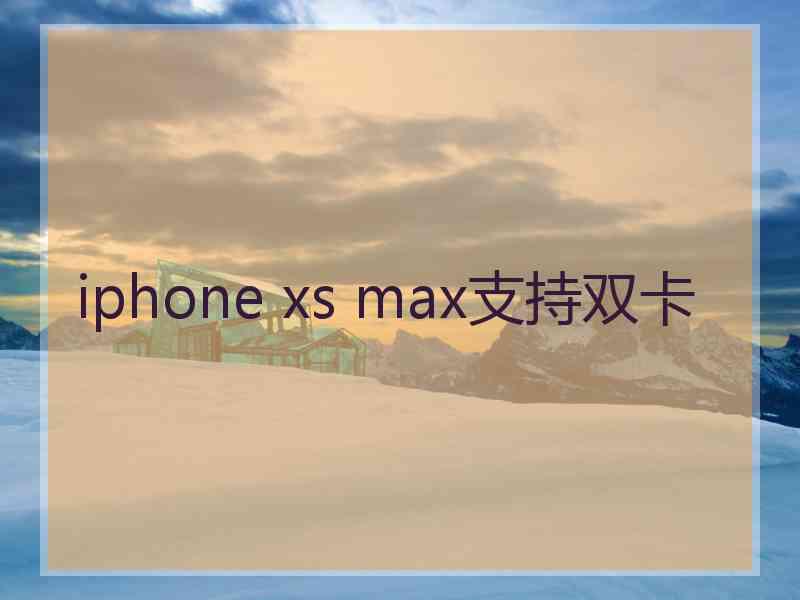 iphone xs max支持双卡