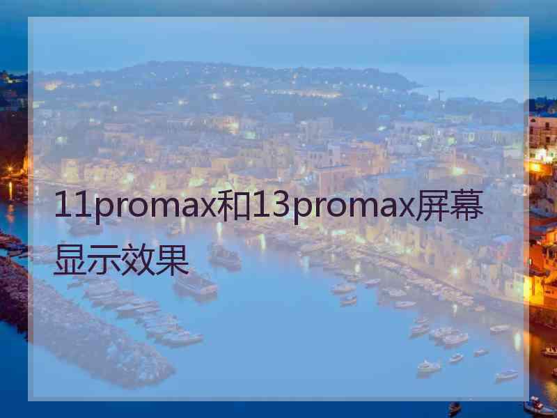 11promax和13promax屏幕显示效果