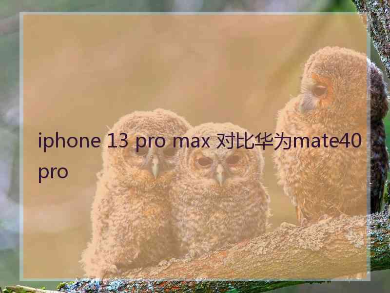 iphone 13 pro max 对比华为mate40pro