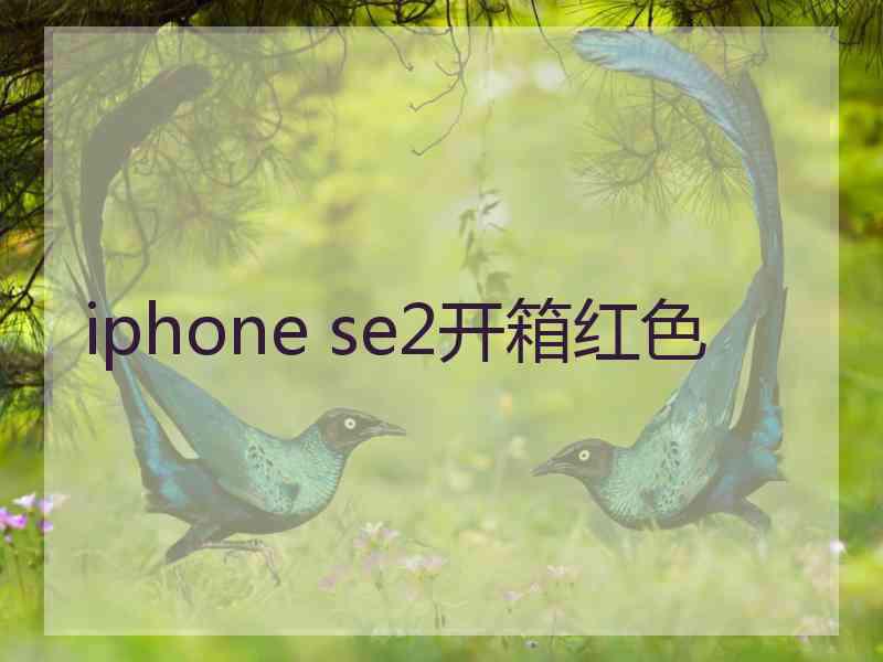 iphone se2开箱红色