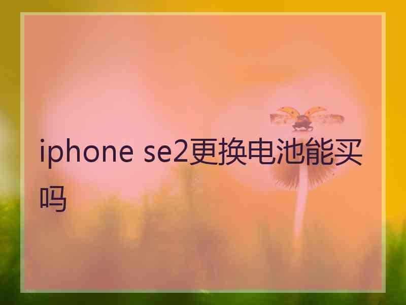 iphone se2更换电池能买吗