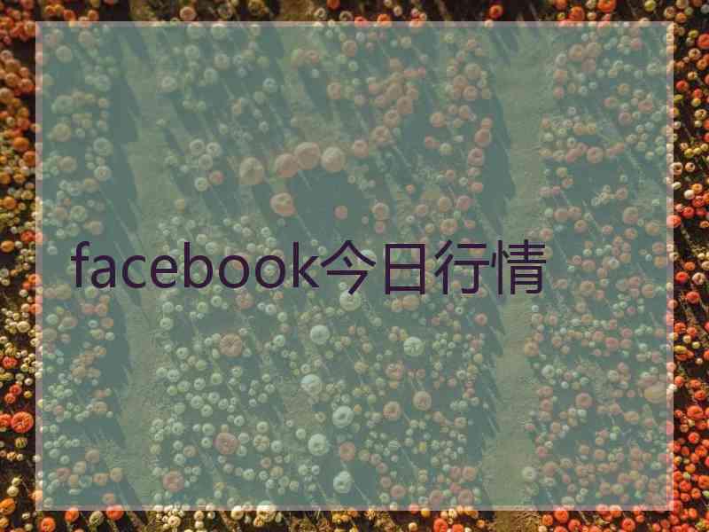 facebook今日行情