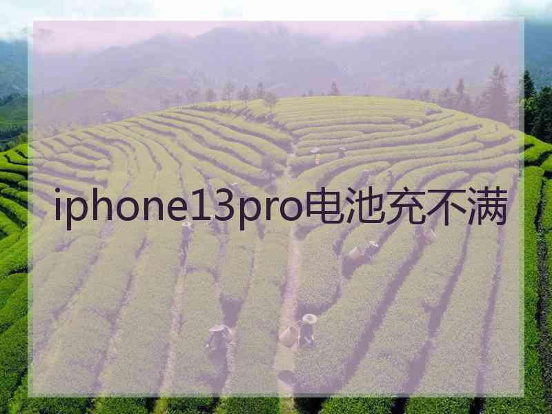 iphone13pro电池充不满