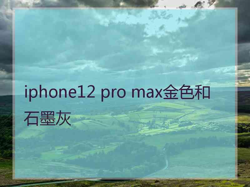 iphone12 pro max金色和石墨灰