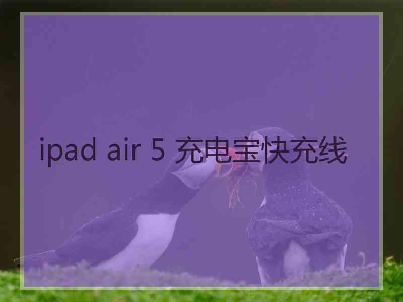 ipad air 5 充电宝快充线