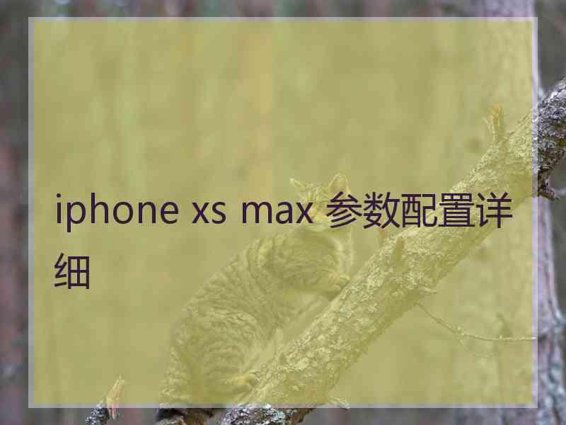 iphone xs max 参数配置详细