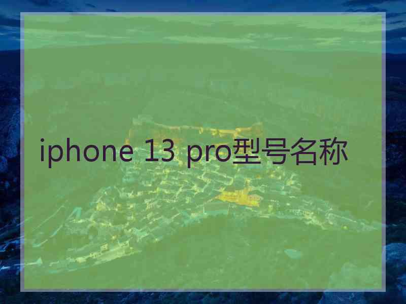 iphone 13 pro型号名称