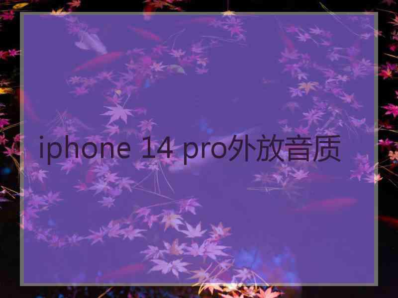 iphone 14 pro外放音质