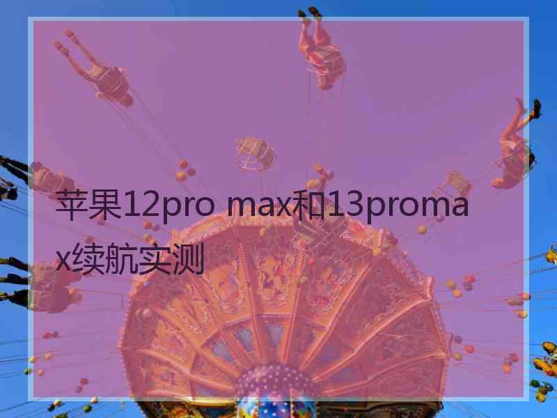 苹果12pro max和13promax续航实测