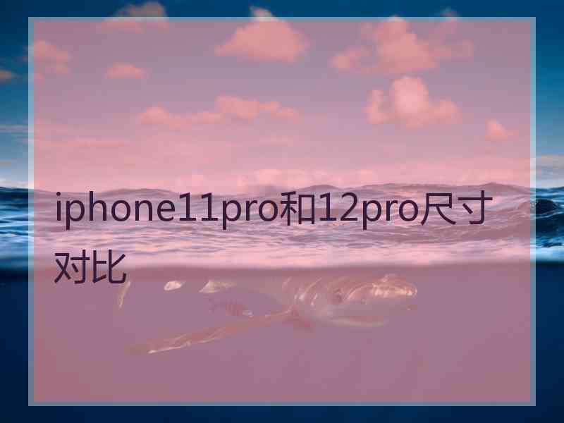 iphone11pro和12pro尺寸对比