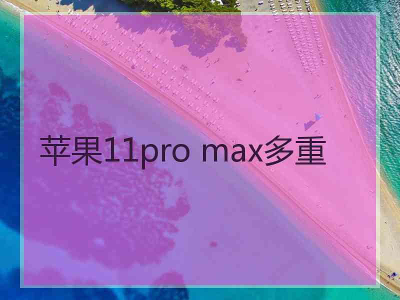 苹果11pro max多重