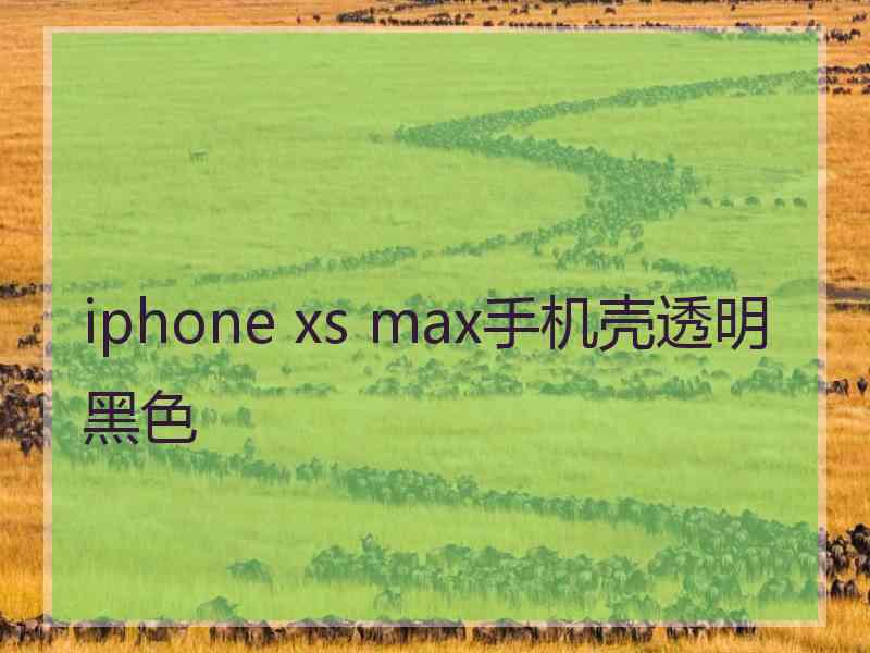 iphone xs max手机壳透明黑色