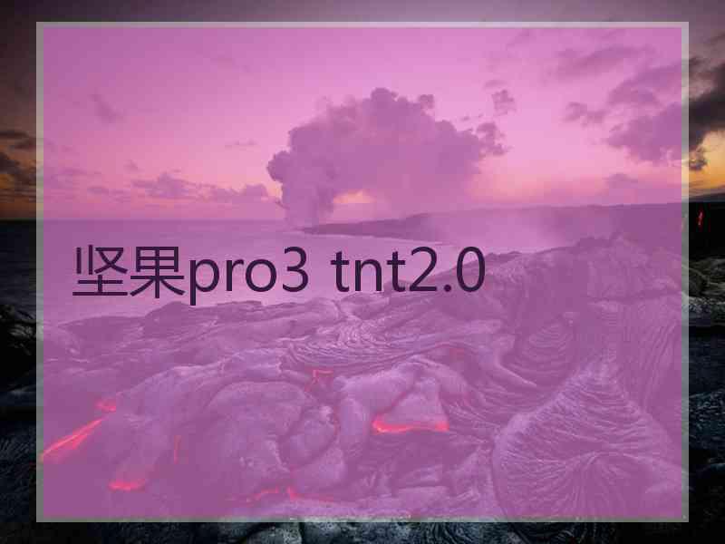 坚果pro3 tnt2.0