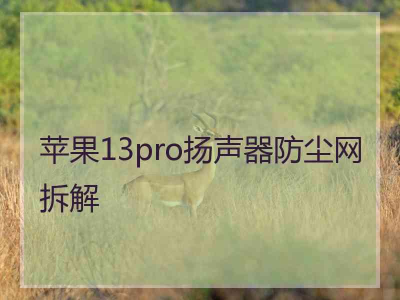 苹果13pro扬声器防尘网拆解