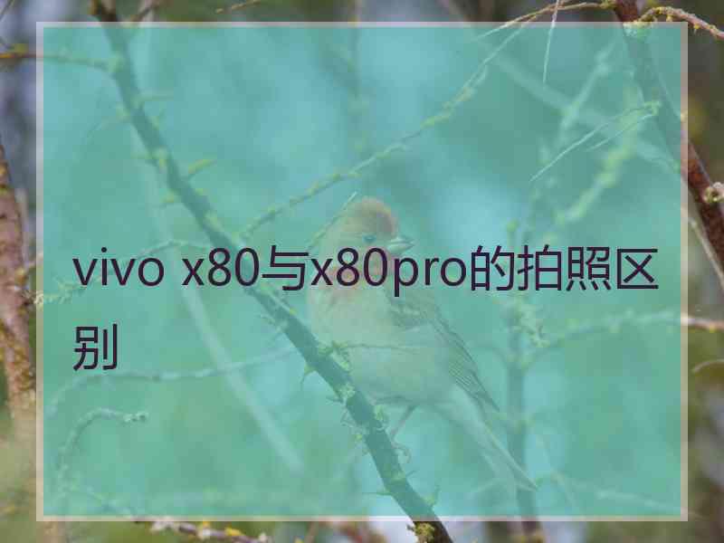 vivo x80与x80pro的拍照区别