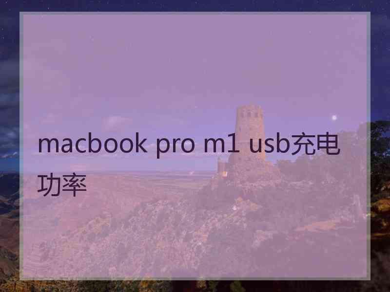 macbook pro m1 usb充电功率