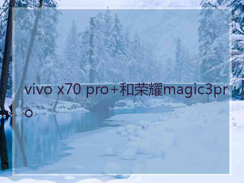 vivo x70 pro+和荣耀magic3pro