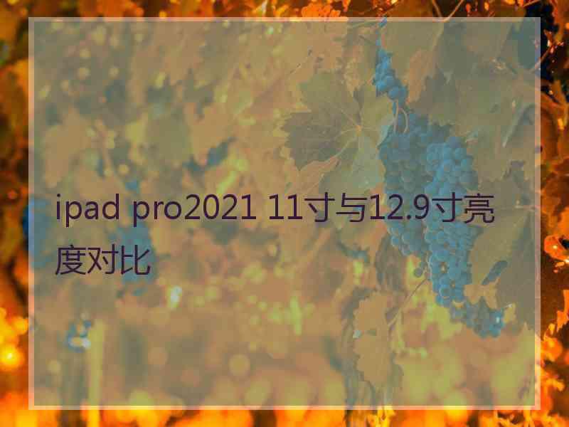 ipad pro2021 11寸与12.9寸亮度对比