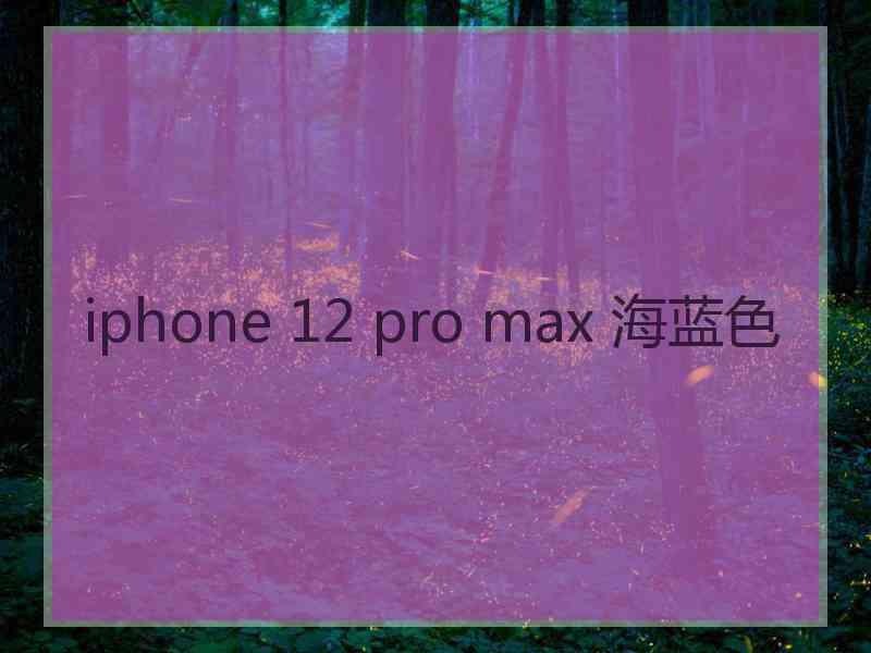 iphone 12 pro max 海蓝色