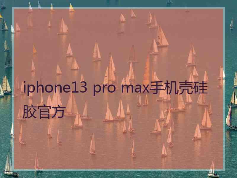 iphone13 pro max手机壳硅胶官方