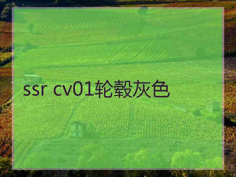 ssr cv01轮毂灰色