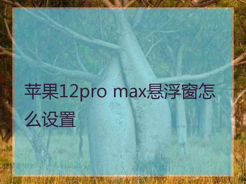 苹果12pro max悬浮窗怎么设置