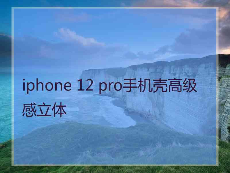 iphone 12 pro手机壳高级感立体