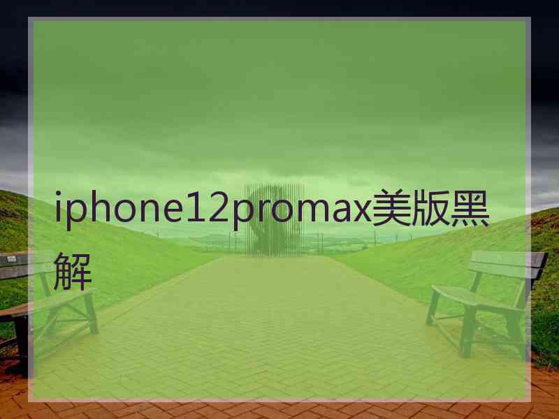 iphone12promax美版黑解