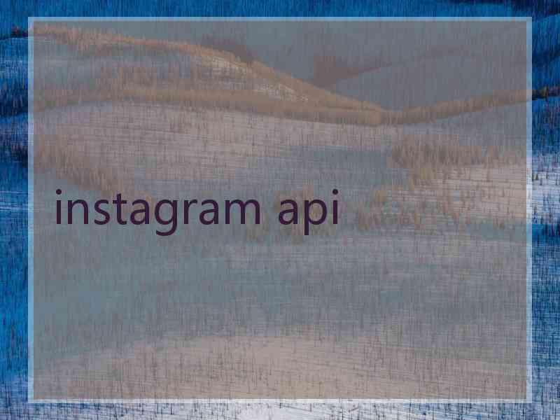 instagram api