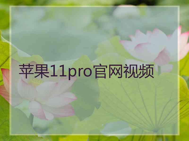 苹果11pro官网视频