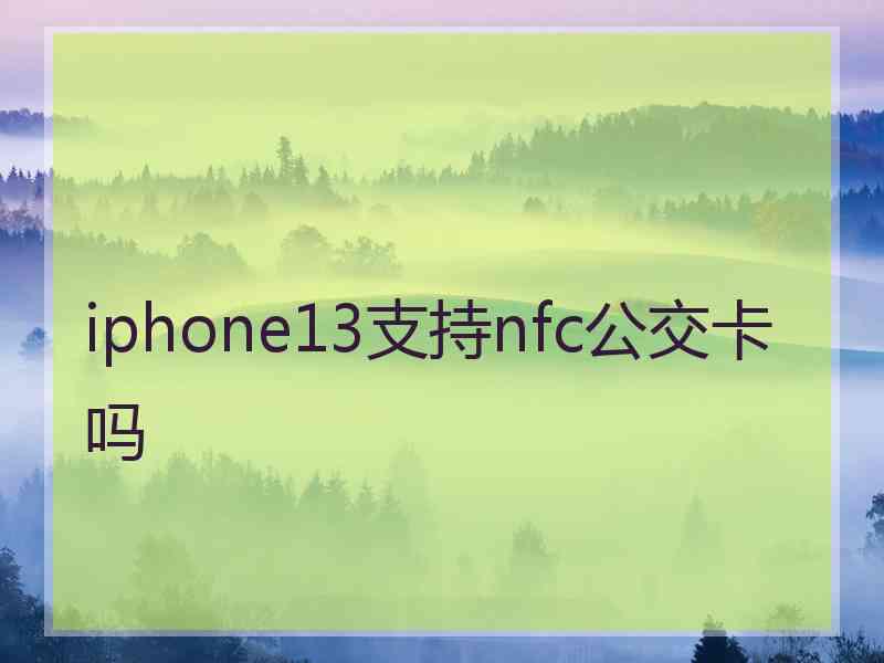 iphone13支持nfc公交卡吗