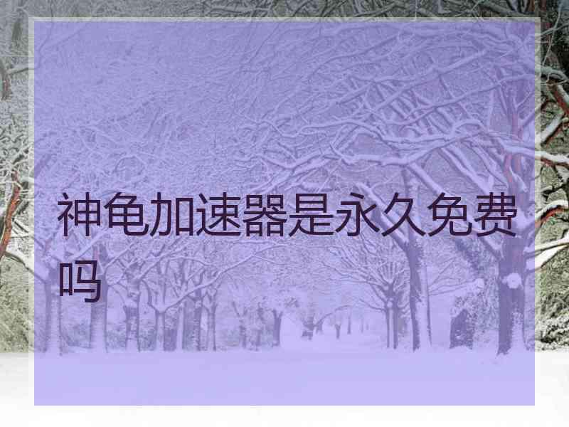 神龟加速器是永久免费吗