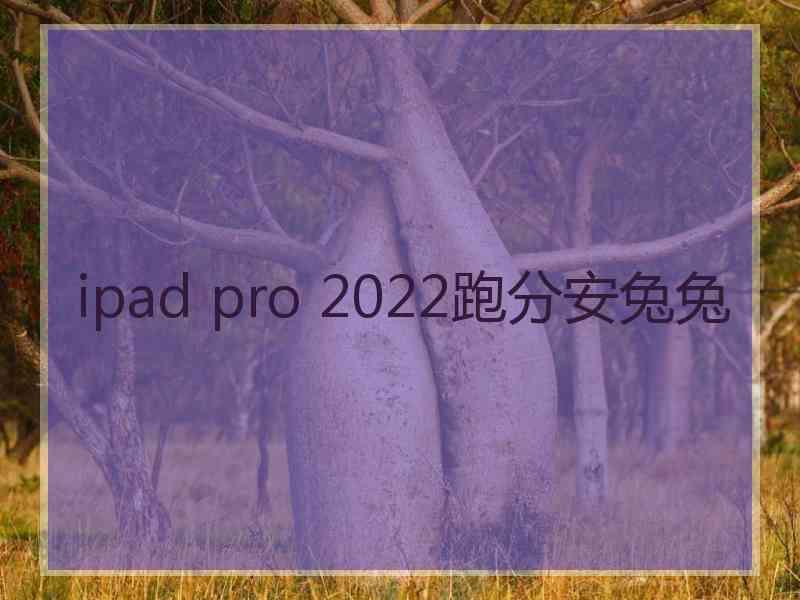 ipad pro 2022跑分安兔兔