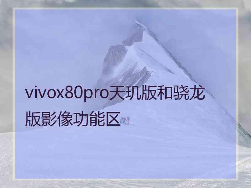 vivox80pro天玑版和骁龙版影像功能区