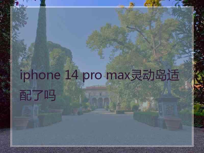 iphone 14 pro max灵动岛适配了吗