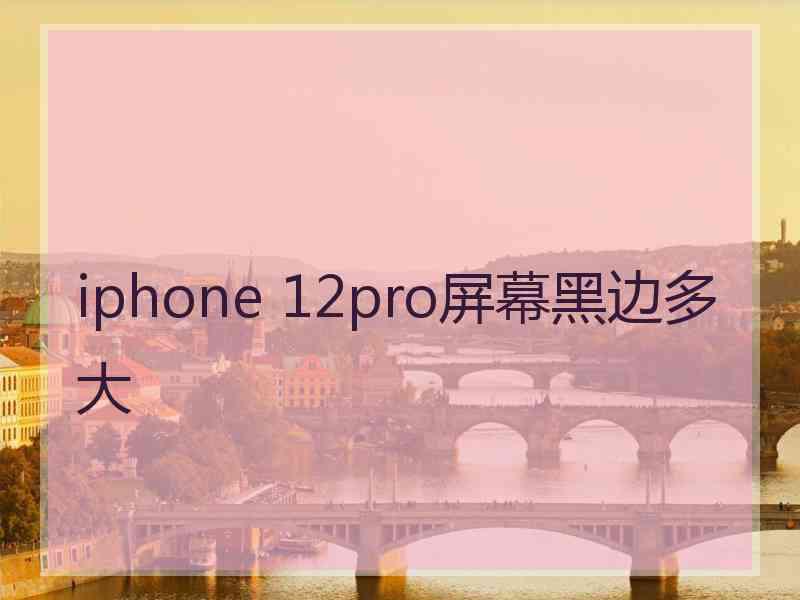 iphone 12pro屏幕黑边多大