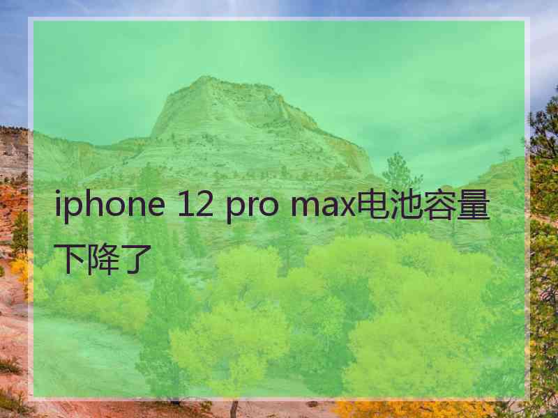 iphone 12 pro max电池容量下降了