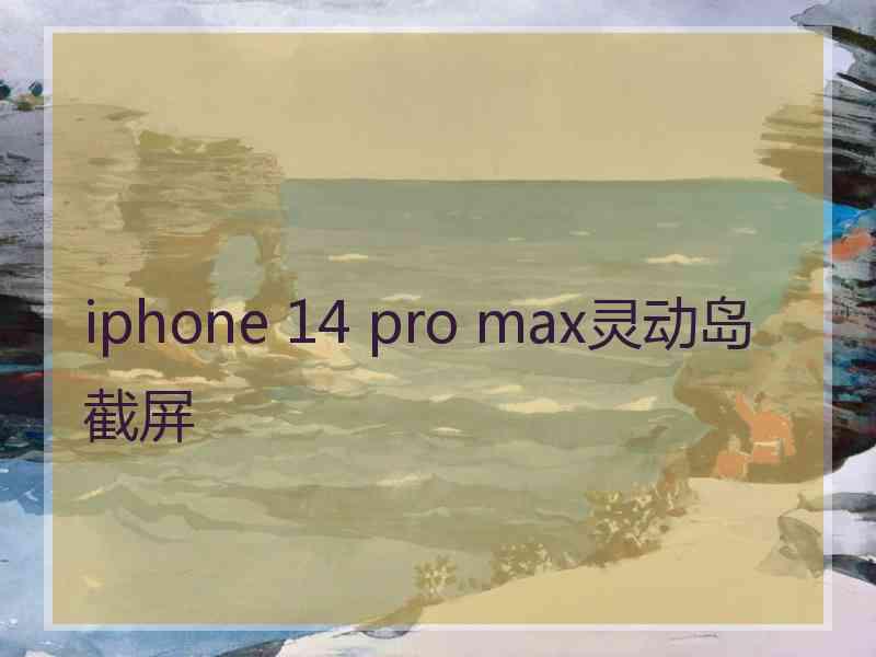 iphone 14 pro max灵动岛截屏