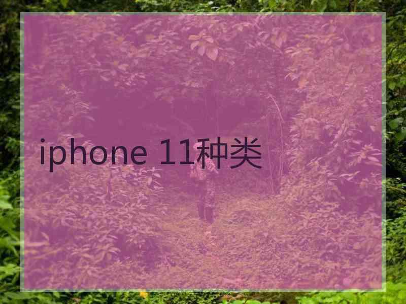 iphone 11种类