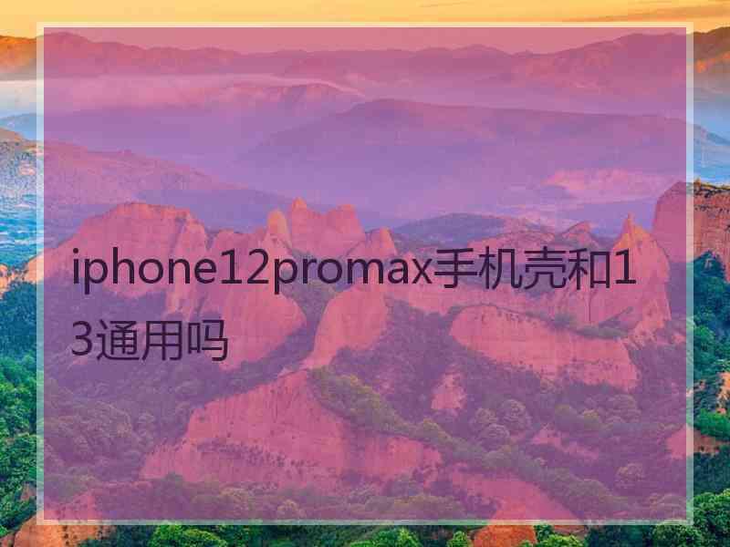 iphone12promax手机壳和13通用吗